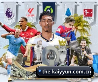 the-kaiyyun.com.cn APP